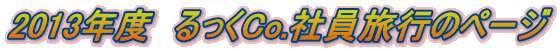 2013Nx@Co.Јs̃y[W